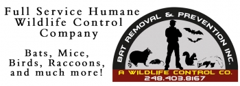 Animal Control Supplies for Best Pest Treatment