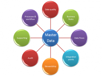 Define Cross-Functional Team Roles In Master Data Management Strategies