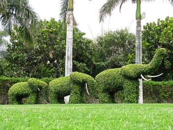 Green Elephants Garden Sculptures