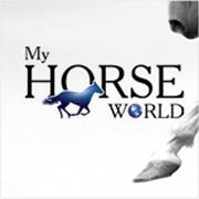 Horsemanship Training Foundational Lessons