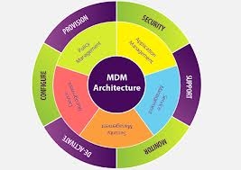 How Do MDM Tools Support The Functioning Of A Business?
