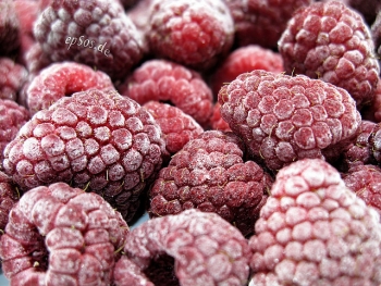 Red Raspberry Fruits 