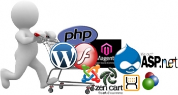 Secure Web Application Development Processes in USA