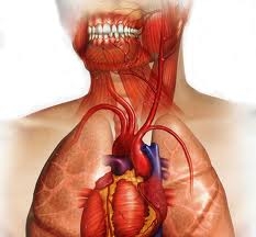 Teeth Implants Specialist in Chicago: Shocking Link Between Tooth Loss and Heart Disease!